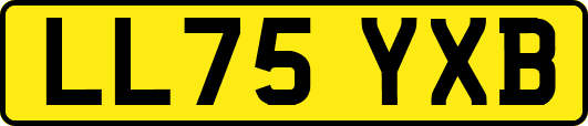 LL75YXB