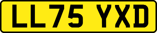 LL75YXD