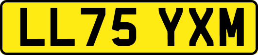 LL75YXM