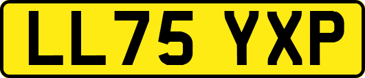 LL75YXP