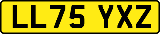 LL75YXZ