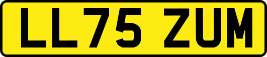 LL75ZUM