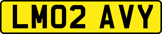 LM02AVY