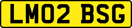 LM02BSG