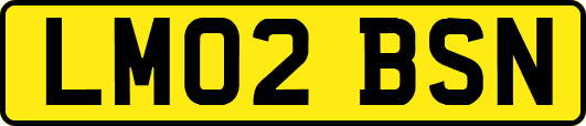 LM02BSN