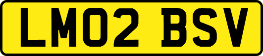 LM02BSV