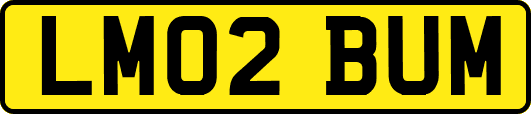 LM02BUM