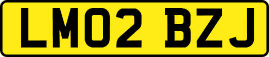 LM02BZJ