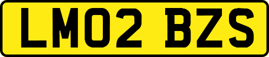 LM02BZS