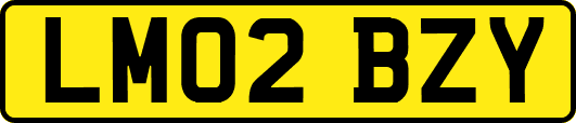LM02BZY