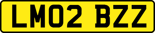 LM02BZZ