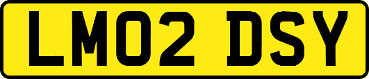 LM02DSY