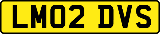 LM02DVS