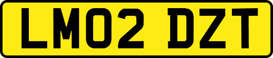 LM02DZT
