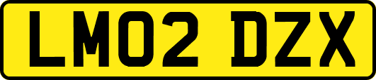 LM02DZX