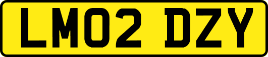 LM02DZY