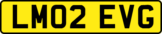 LM02EVG