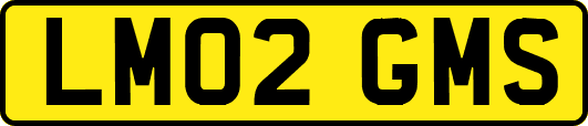 LM02GMS