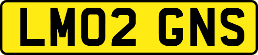 LM02GNS