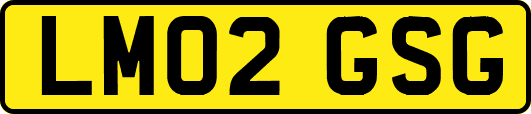 LM02GSG