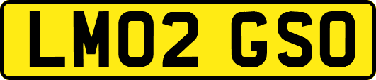 LM02GSO