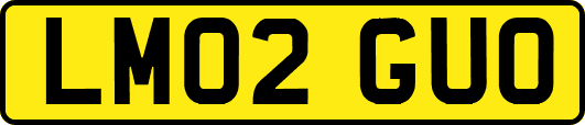 LM02GUO