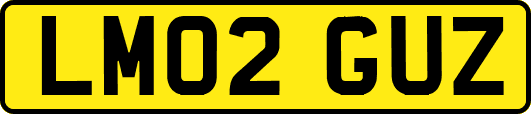 LM02GUZ