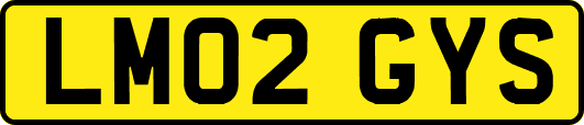 LM02GYS