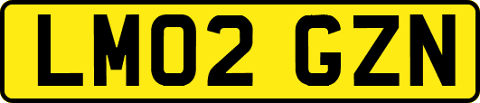 LM02GZN
