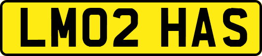 LM02HAS