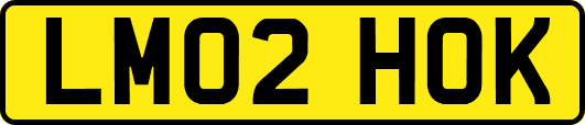 LM02HOK