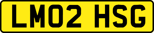 LM02HSG