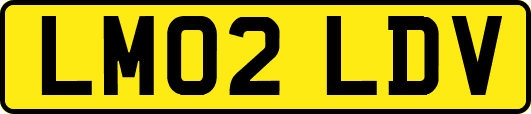 LM02LDV