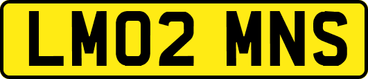 LM02MNS