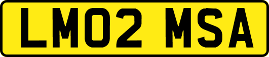LM02MSA