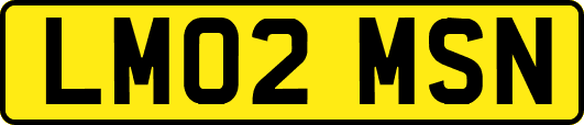 LM02MSN