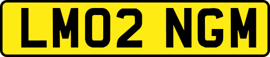 LM02NGM