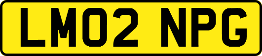 LM02NPG