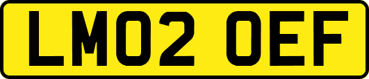 LM02OEF