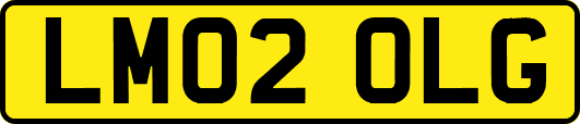 LM02OLG