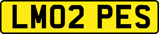 LM02PES