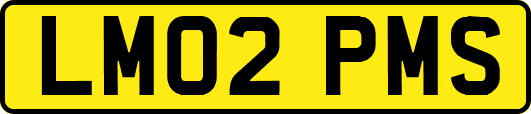 LM02PMS