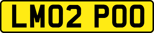 LM02POO