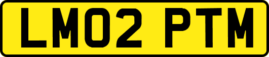 LM02PTM