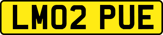LM02PUE