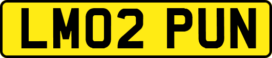 LM02PUN