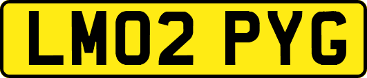 LM02PYG