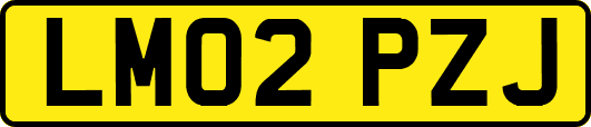 LM02PZJ