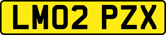 LM02PZX