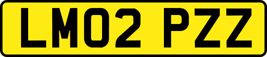 LM02PZZ